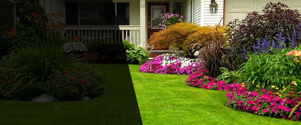 Morrison Landscapers