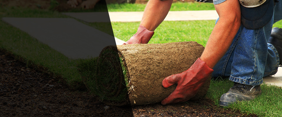 Morrison Landscapers
